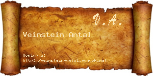 Veinstein Antal névjegykártya